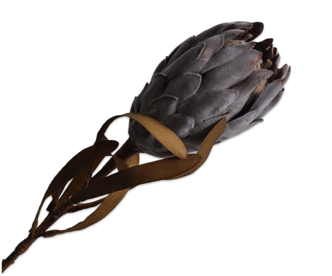 Silk-ka Protea steel 62cm - Grijs