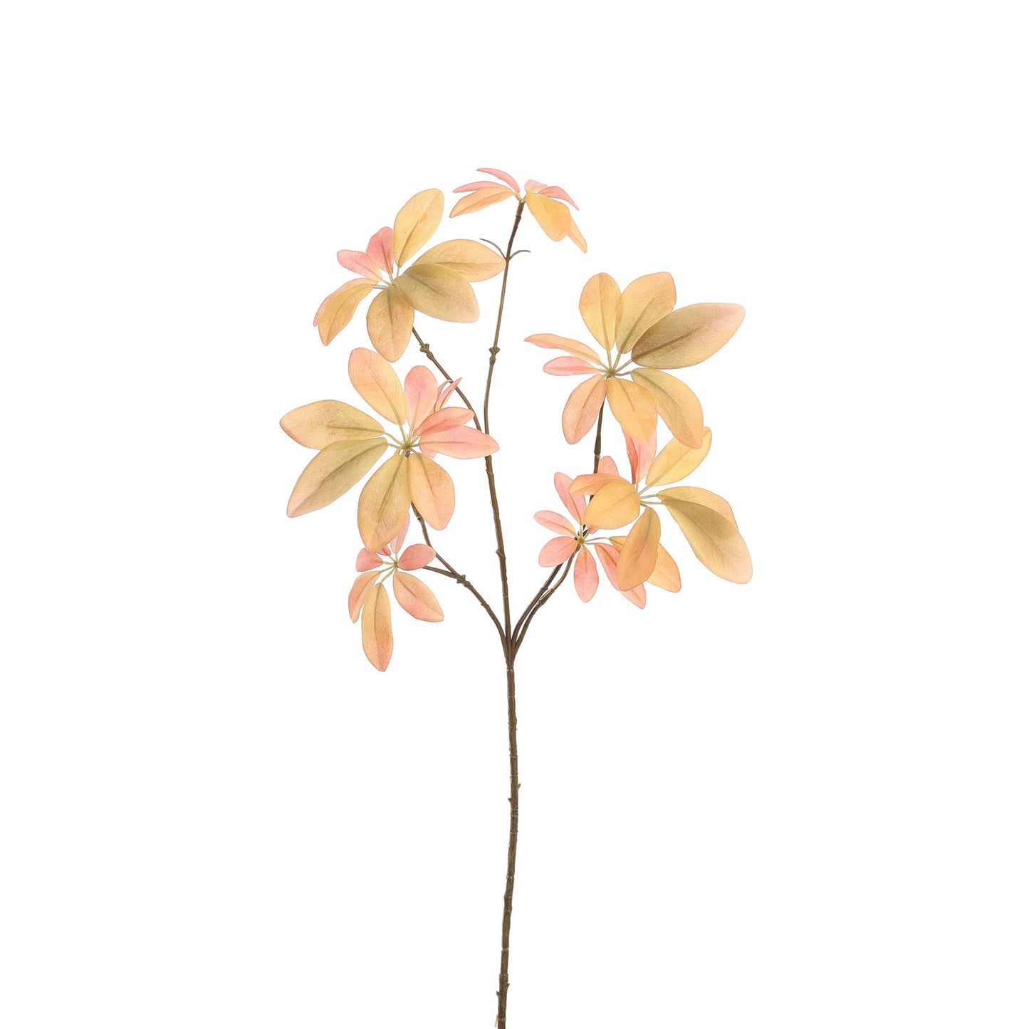 SCHEFFLERA LEAF 65CM GREEN PINK