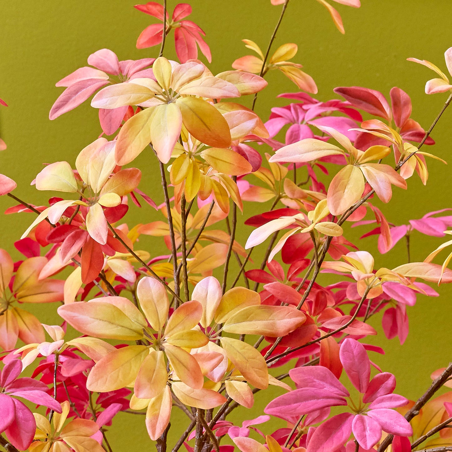 SCHEFFLERA LEAF 65CM GREEN PINK