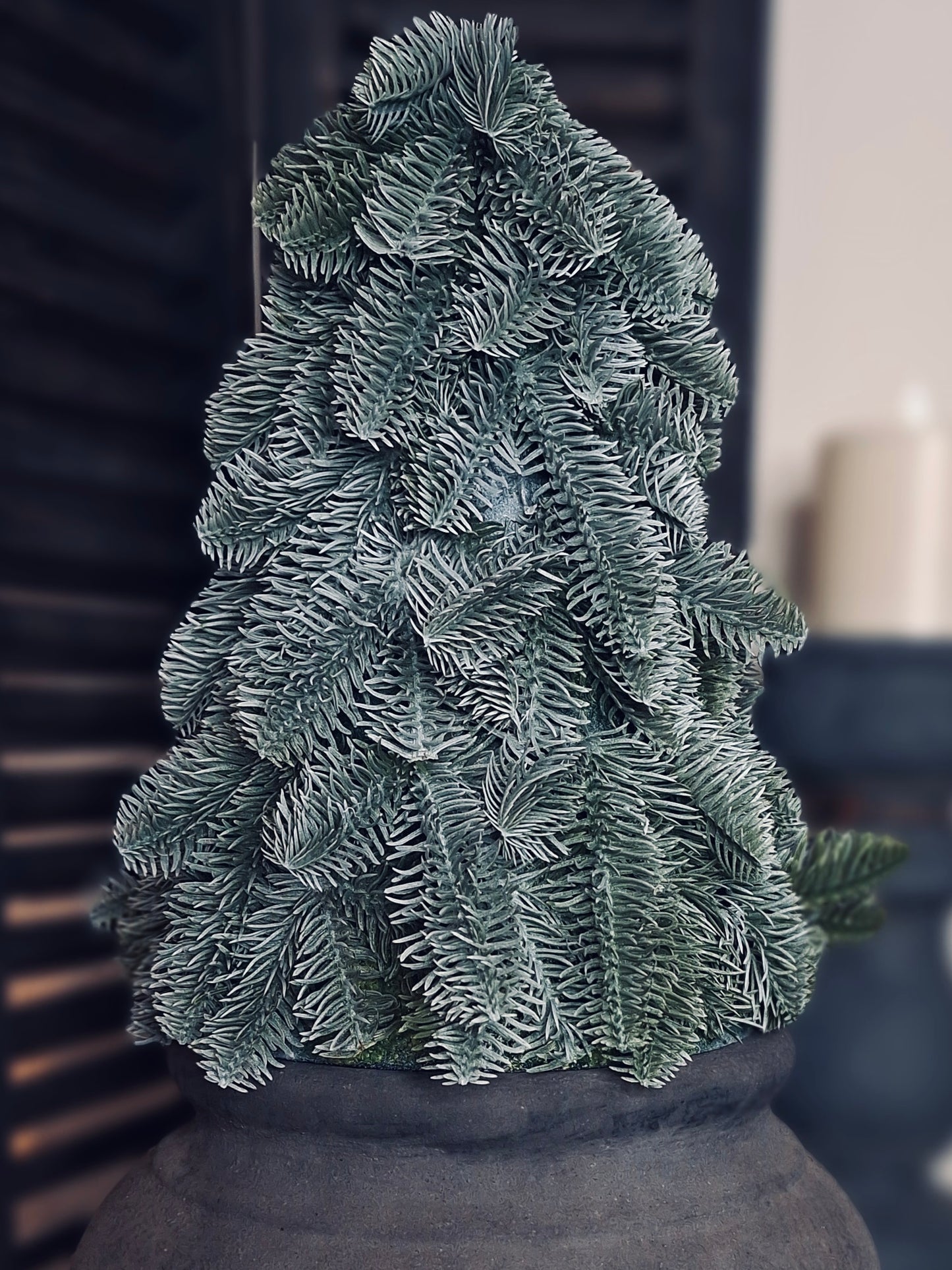 Brynxz Nobilis X-Tree M - 30x42