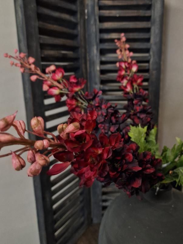 Brynxz delphinium dark red - 79 cm.