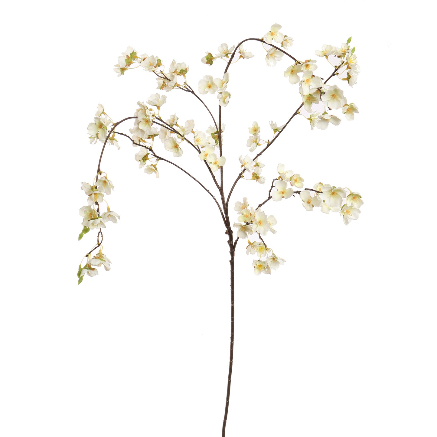 LARGE CHERRY BLOSSOM 115CM CREAM