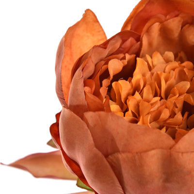 Ball peony spray 60cm - Orange