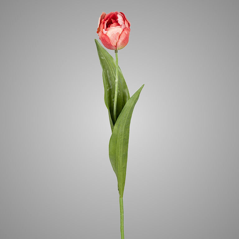 Brynxz Tulpe, 48 cm, lachs