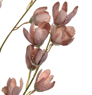 Pistachio flower 105cm - Taupe