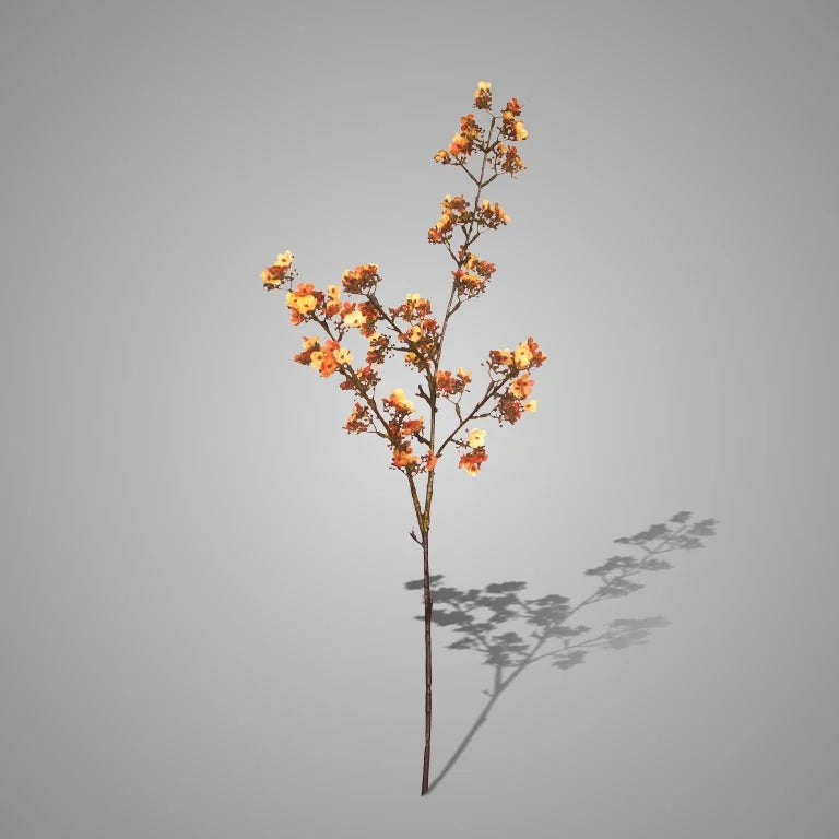 Brynxz Potentilla Apricot 102 cm