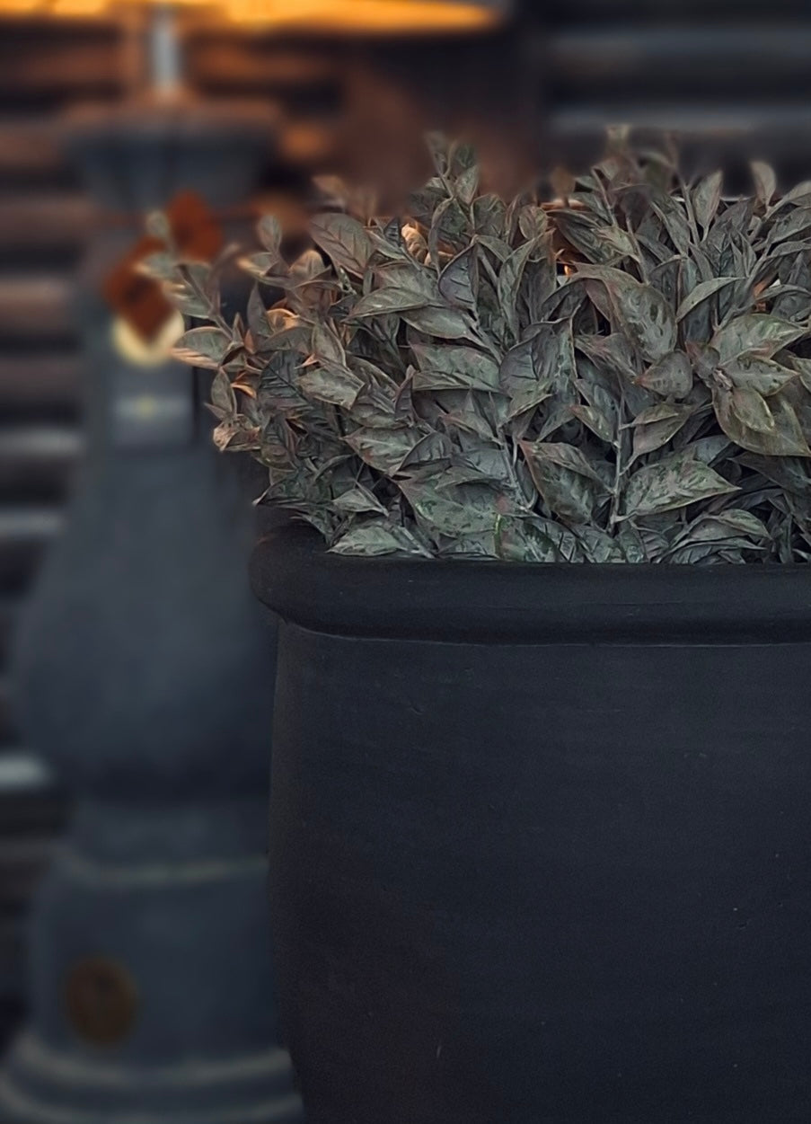 Brynxz LAURO BUSH BRONZE 35 cm
