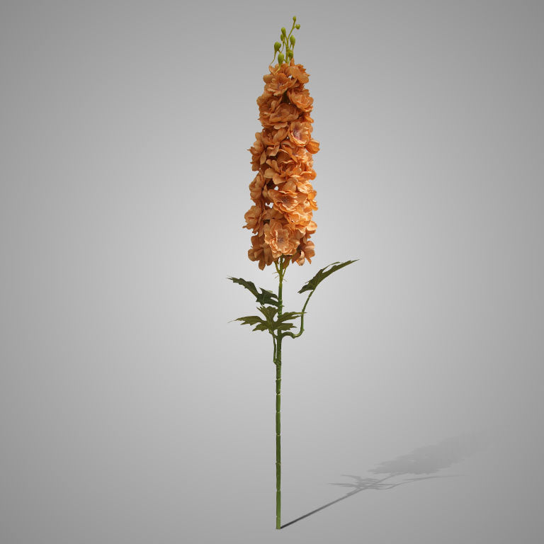 Brynxz Delphinium Orange - 90cm