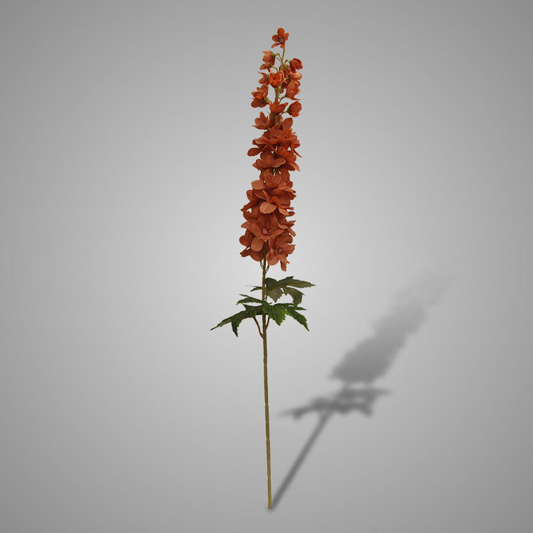 Brynxz Delphinium Coffee - 90cm