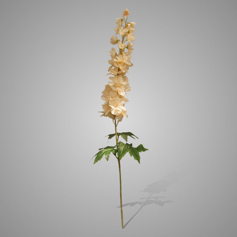 Brynxz Delphinium Cream 90 cm