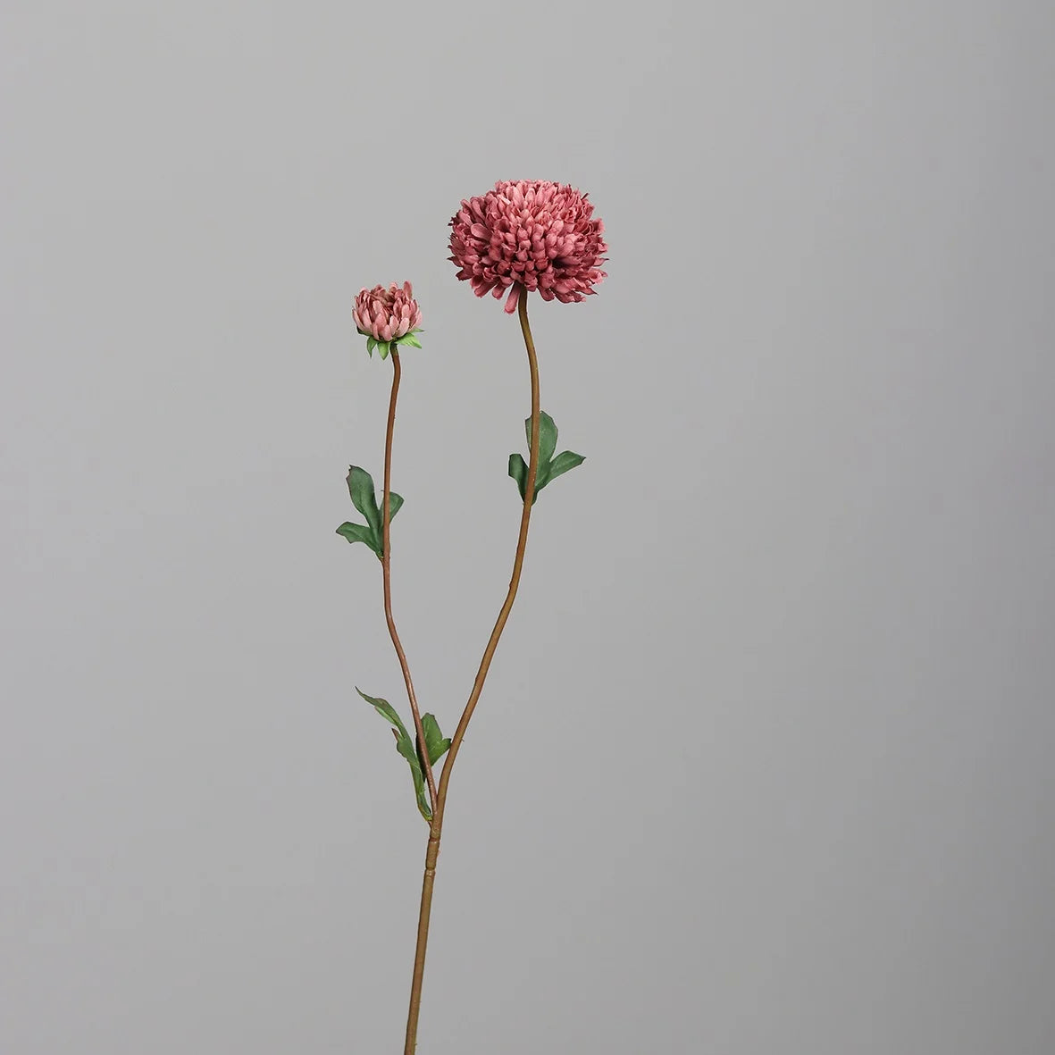 BRYNXZ Chysanthemum, - dark-pink 63CM
