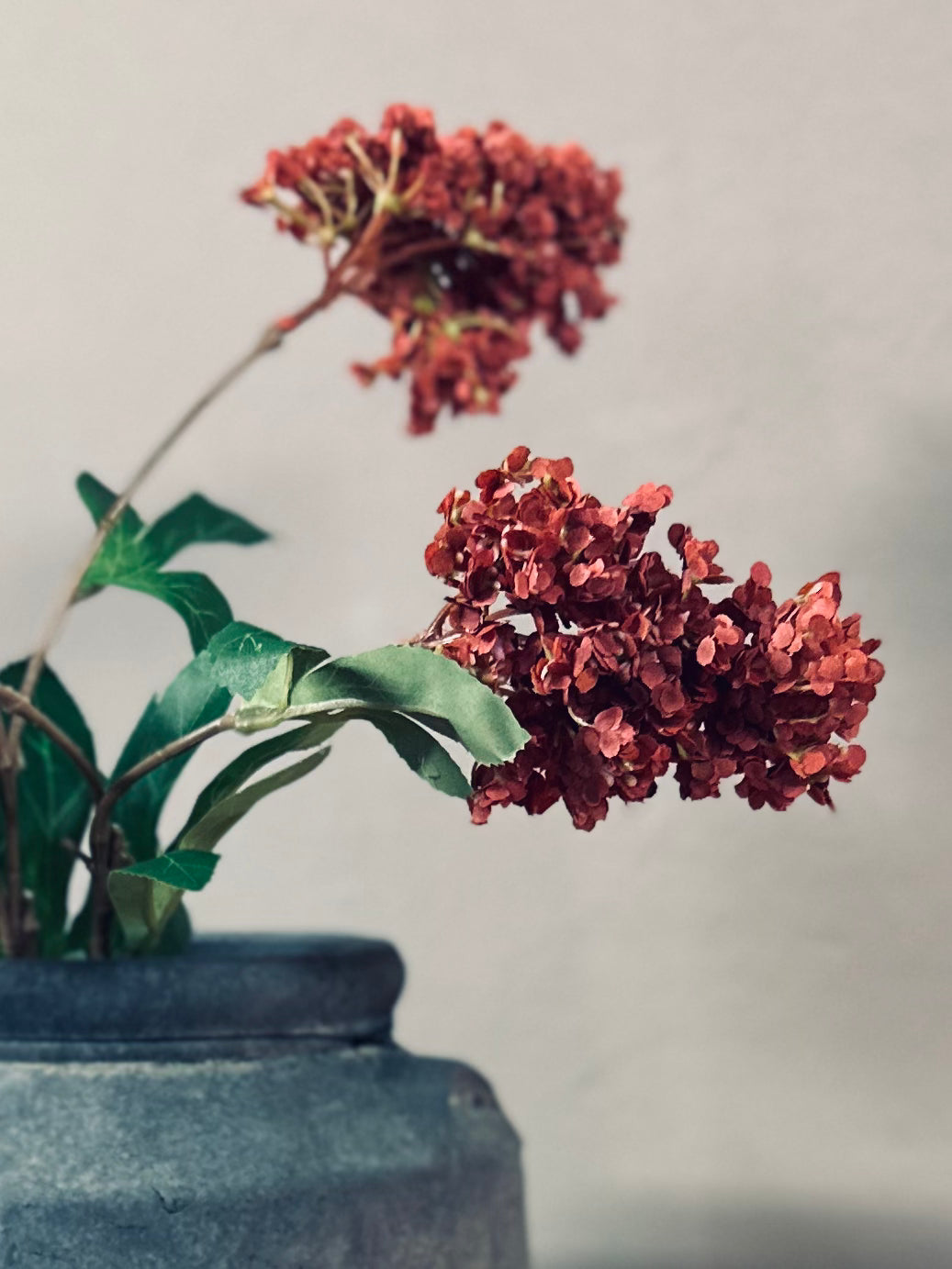 Brynxz Hydrangea spray Red Grande - 75cm