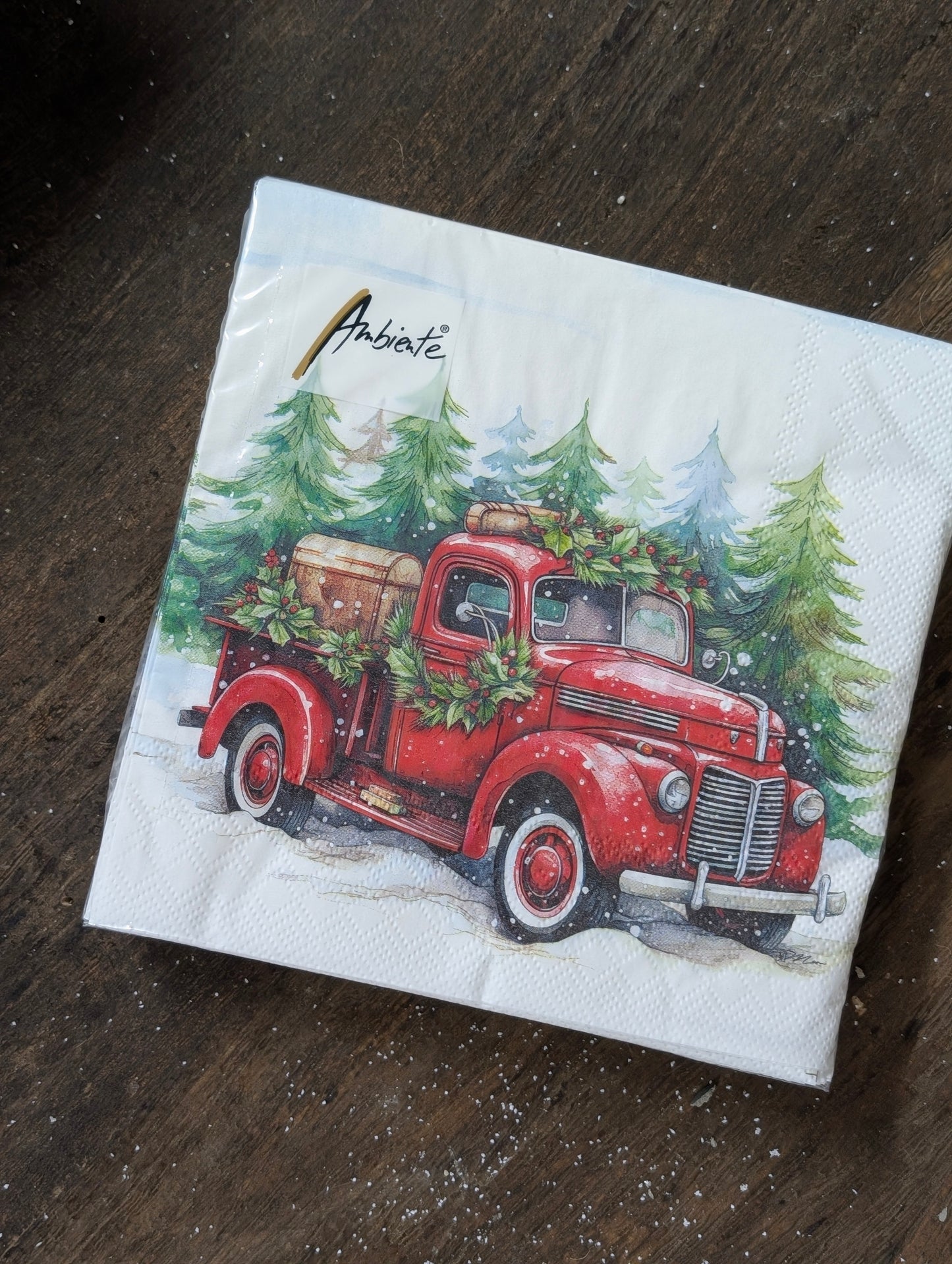 Servetten 20 stuks 33x33 - Van in the snow