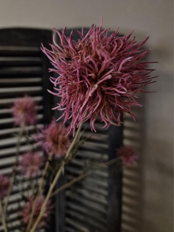 Brynxz bohemian flower spray mauwe- 83 cm.