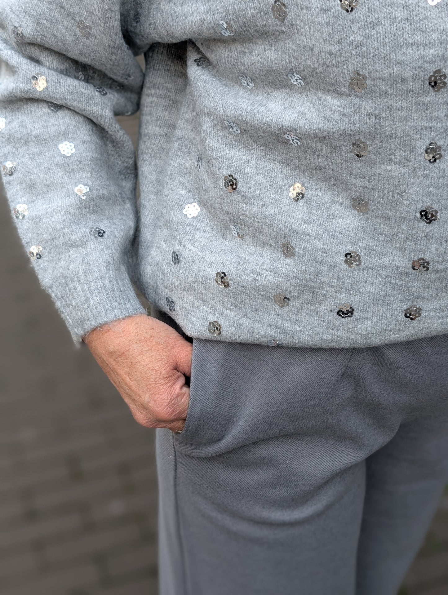 Glitter dots sweater - Grijs/Zilver
