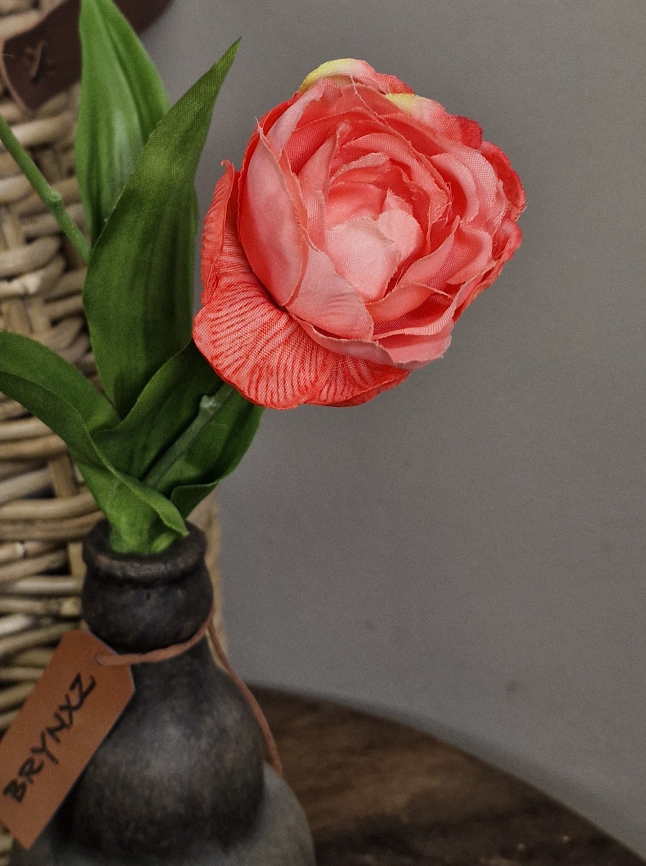 Brynxz Tulpe, 48 cm, lachs