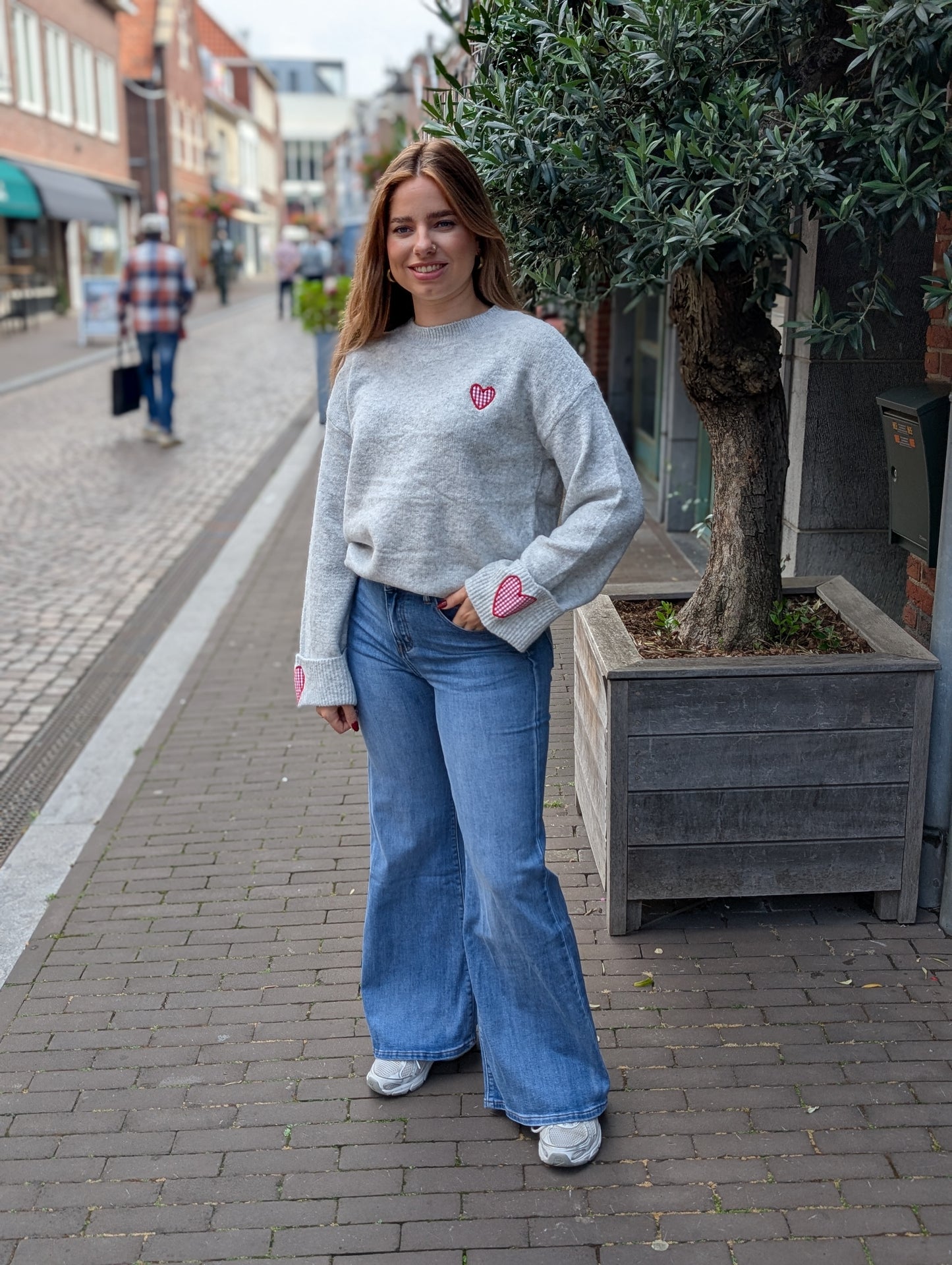 Louise hartjes sweater - Licht grijs / rood