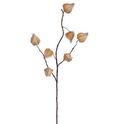 LANTERN SPRAY 82CM BEIGE