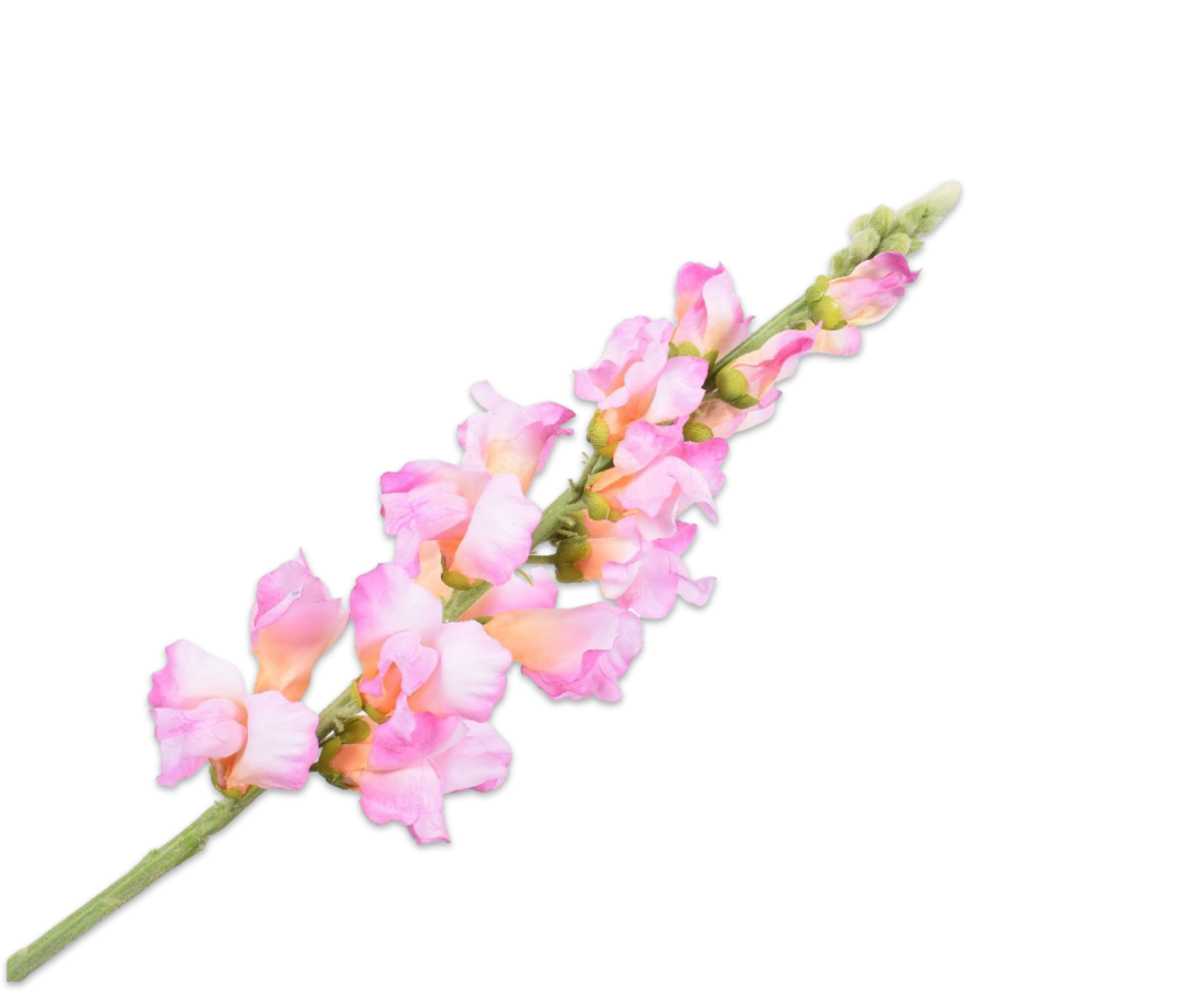 SILK-KA LEEUWEBEK STEEL