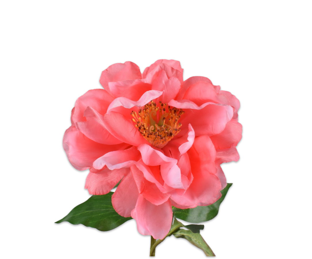 PIOEN STEEL ZALM - Silk-ka flowers