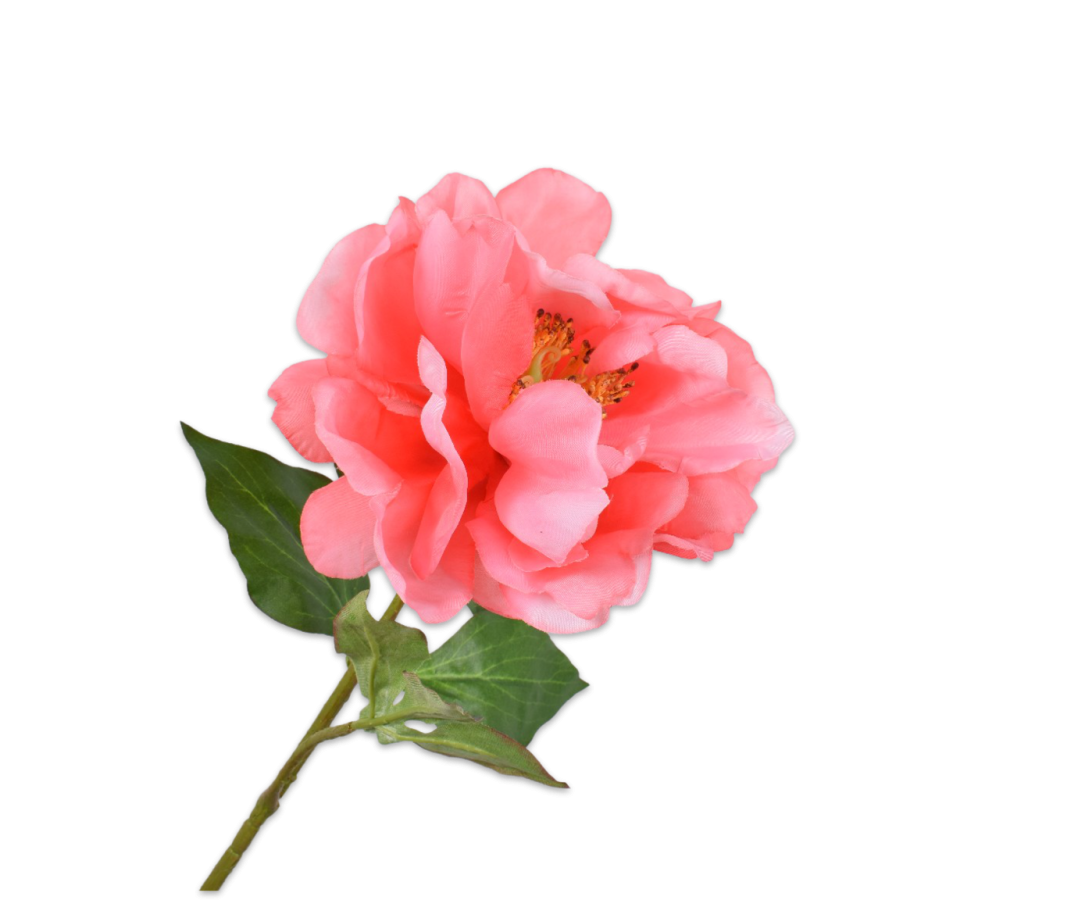 PIOEN STEEL ZALM - Silk-ka flowers