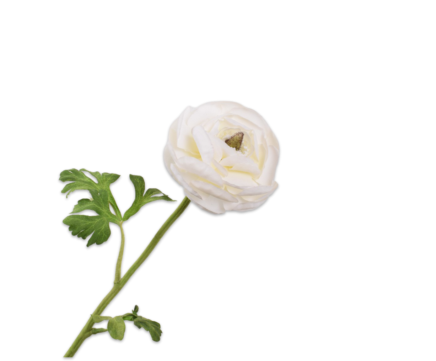 RANONKEL STEEL WIT - Silk-ka flowers