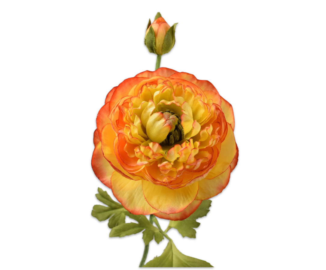 RANONKEL STEEL ORANJE - Silk-ka flowers