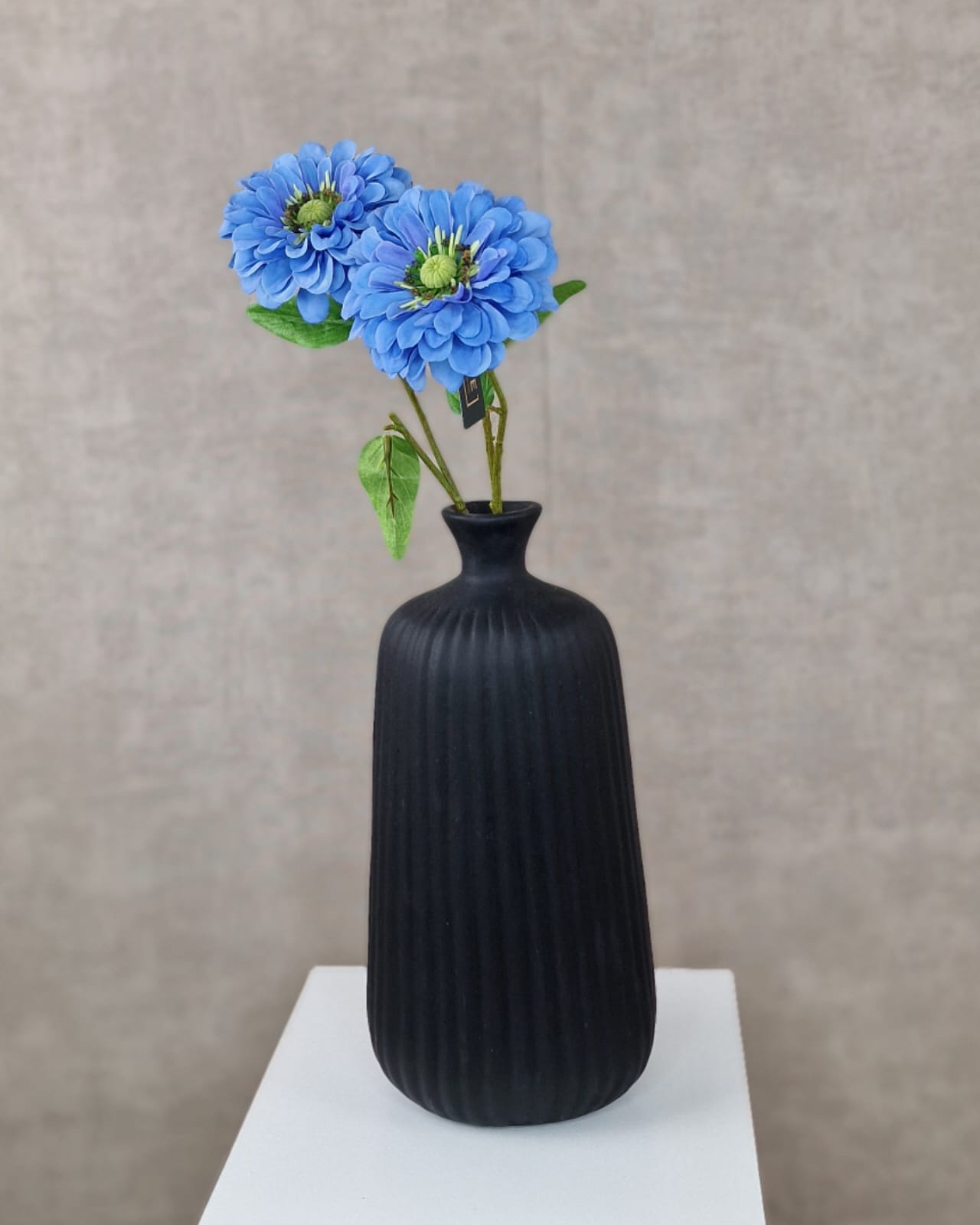 Zinnia 58cm - Blauw