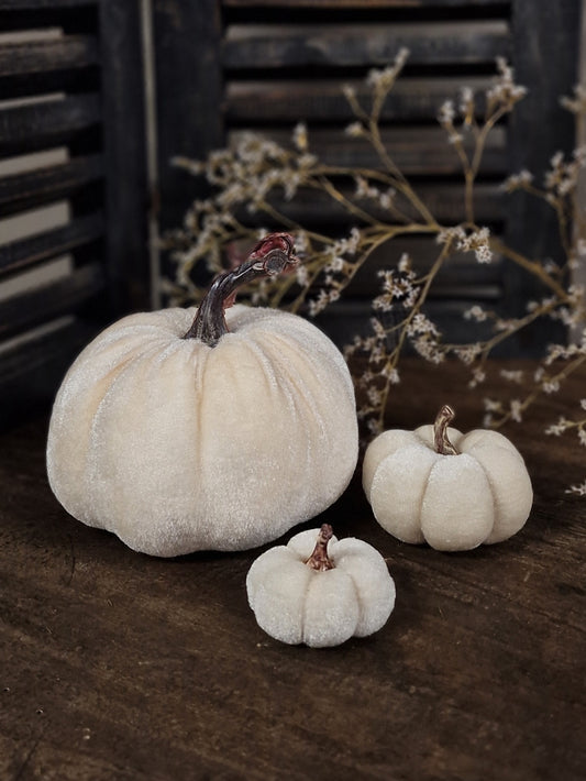 Velvet pompoenen 3 groottes- Creme
