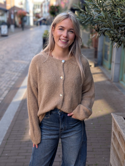 Gebreid vest Demi - Camel