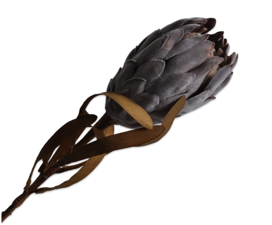 Silk-ka Protea steel 62cm - Grijs
