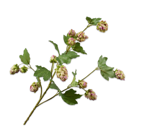 Silk-ka Hop tak 77cm - Lavendel/Groen