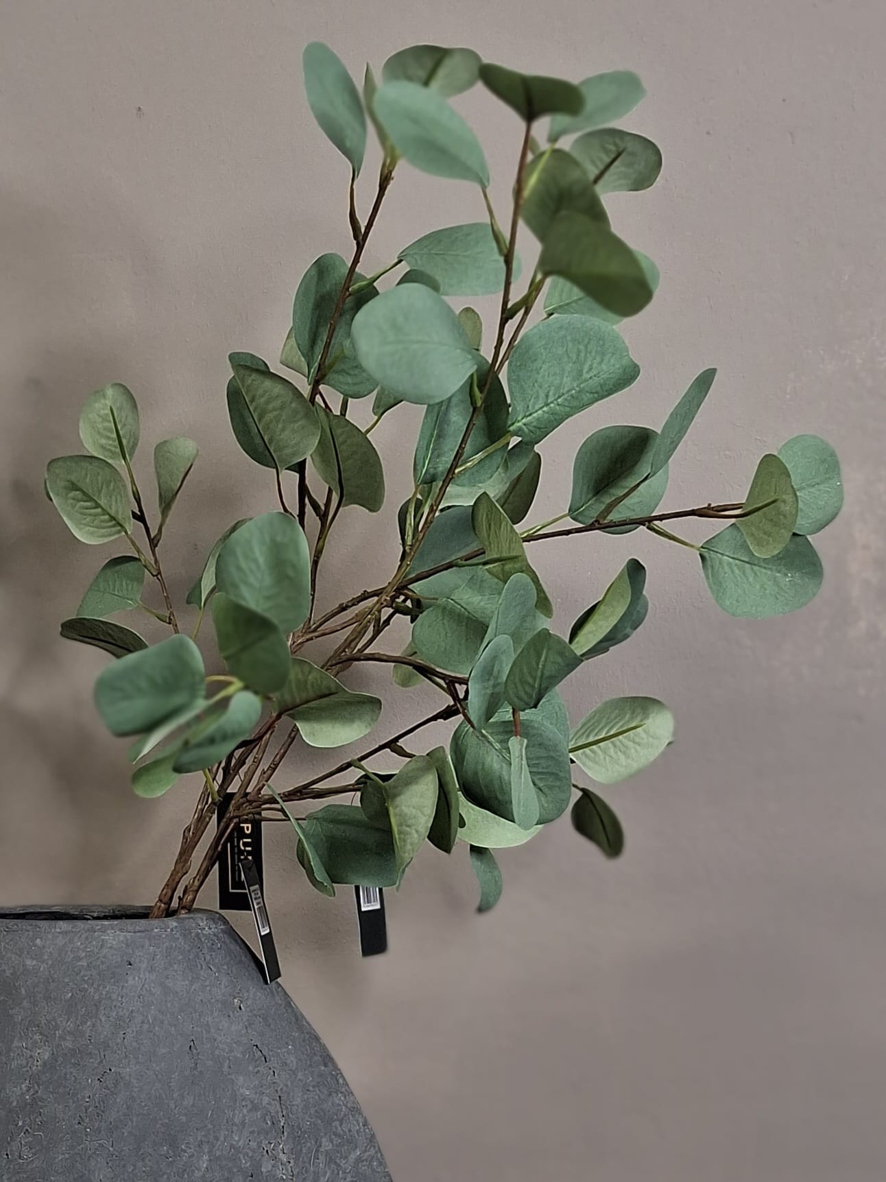 Eucalyptus spray 76cm - Green