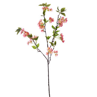 APPLE BLOSSOM 90CM BEAUTY