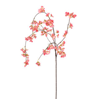LARGE CHERRY BLOSSOM 115CM BEAUTY