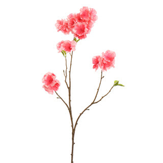 PEACH BLOSSOM 78CM BEAUTY