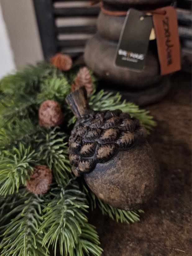 Brynxz Eikels majestic brown D10-7 H15-9 2 verschillende groottes