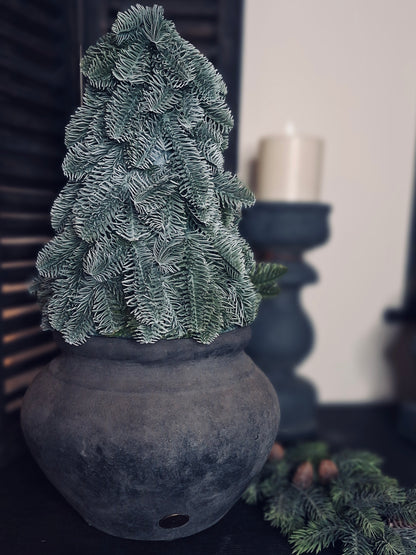 Brynxz Nobilis X-Tree S - 25x32