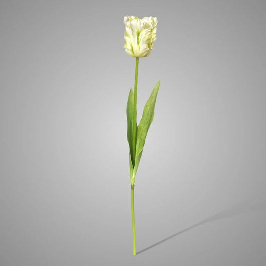 Parrot Tulip Exclusive White 70 cm
