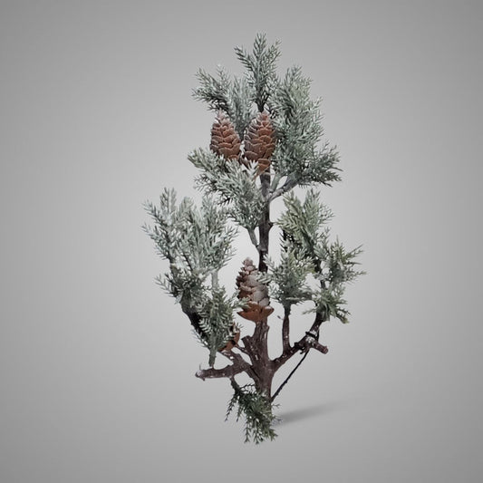 Brynxz THUJA CONE 36 cm