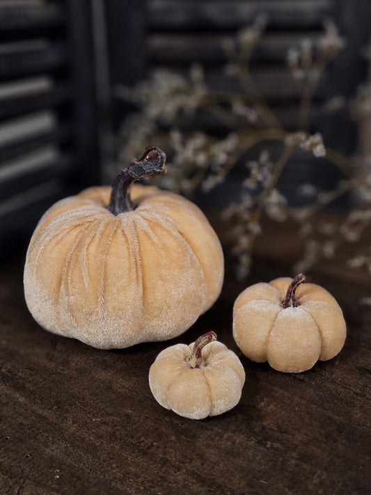 Velvet pompoenen 3 groottes- Licht orange