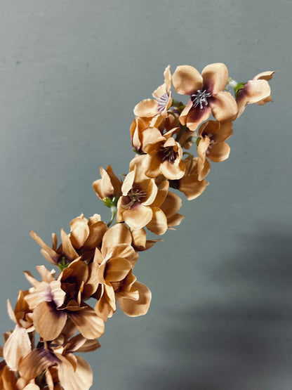 Brynxz Delphinium Orange - 90cm