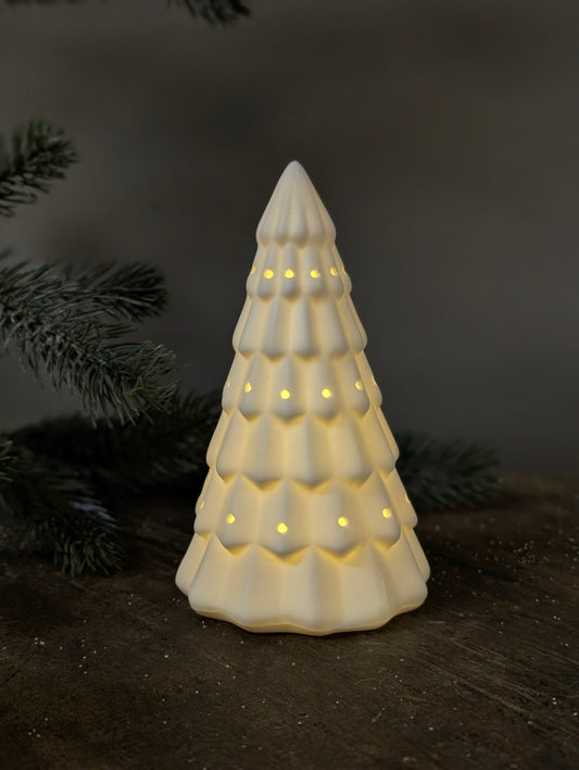 HV Xmas Tree led light - 16x9