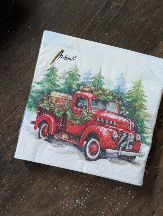 Servetten 20 stuks 33x33 - Van in the snow