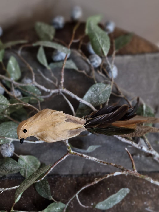 Siervogel op klem - 25cm