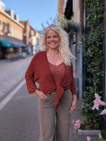 Sparkle Knit Top - Brique
