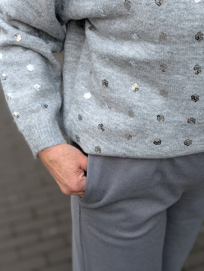Glitter dots sweater - Grijs/Zilver