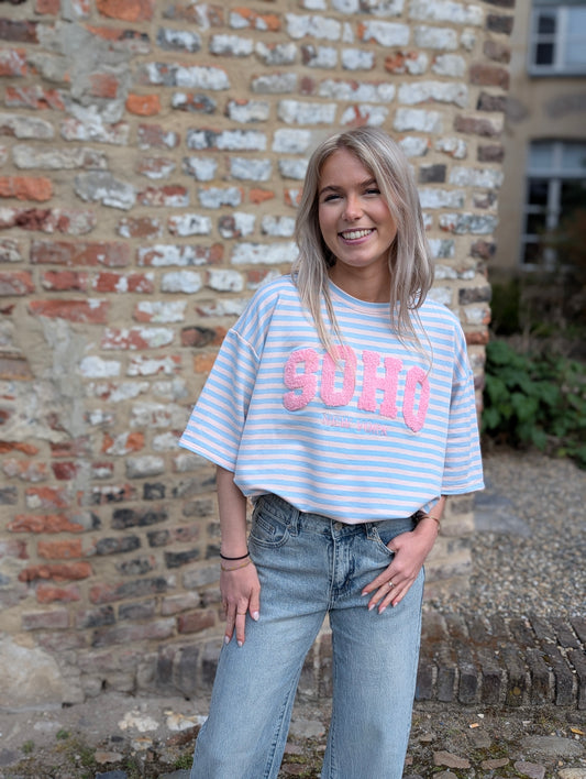 Downtown Stripe shirt - Blauw/Roze