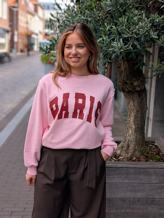 Paris Sweater - Roze/Bordeaux