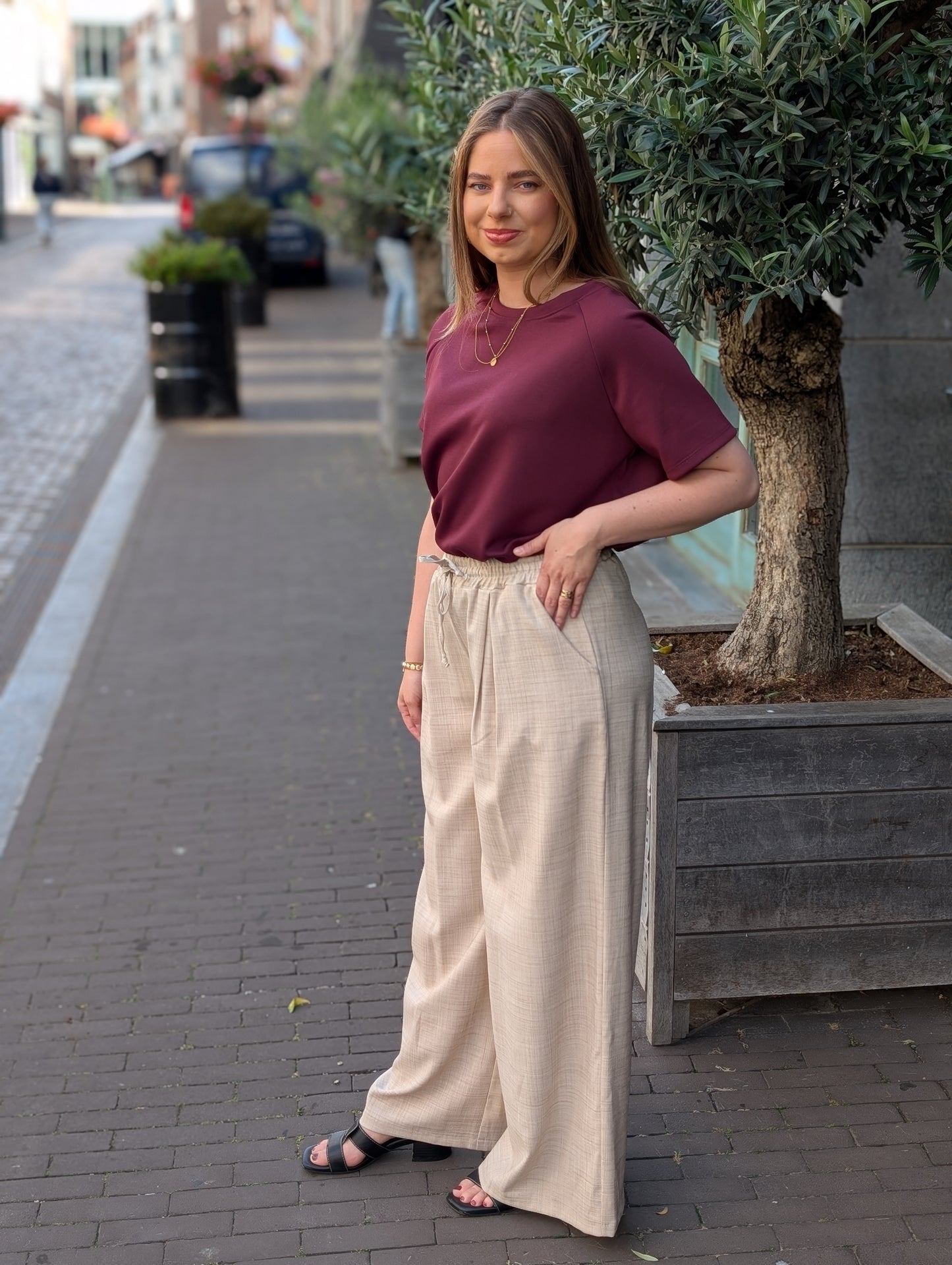 Lensy fijn ruitje pantalon - Beige